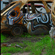 photographie - Galerie - Inclassable