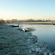photographie - Galerie - Nature