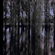 photographie - Galerie - Nature