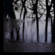 photographie - Galerie - Nature